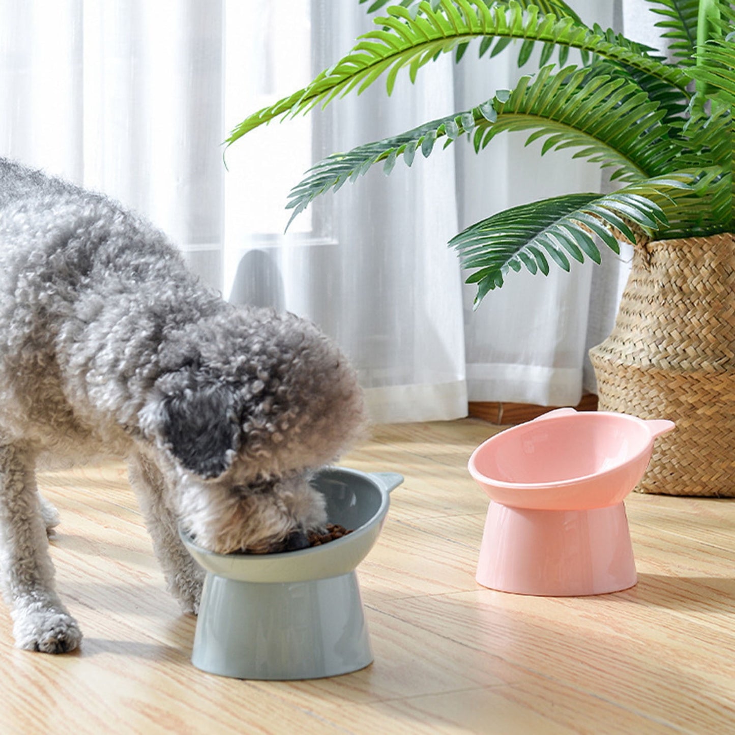 Darzheoy Raised Cat Food Bowl 15 Degrees Elevated Cat Bowls Anti Vomiting Tilted Raised Cat Food Bowl Plastic Slanted Stand Bowls for Pet Feeder Light Blue