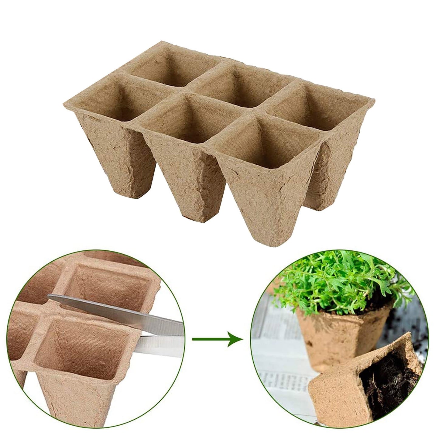 Darzheoy 30 Cells Peat Pots Seed Starter Trays 5 Packs Biodegradable Seedling Pots Germination Trays Organic Plant Starter Kit A