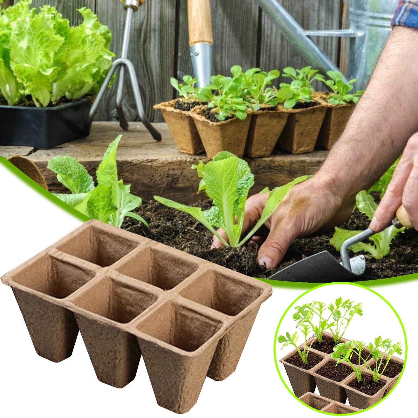 Darzheoy 30 Cells Peat Pots Seed Starter Trays 5 Packs Biodegradable Seedling Pots Germination Trays Organic Plant Starter Kit B