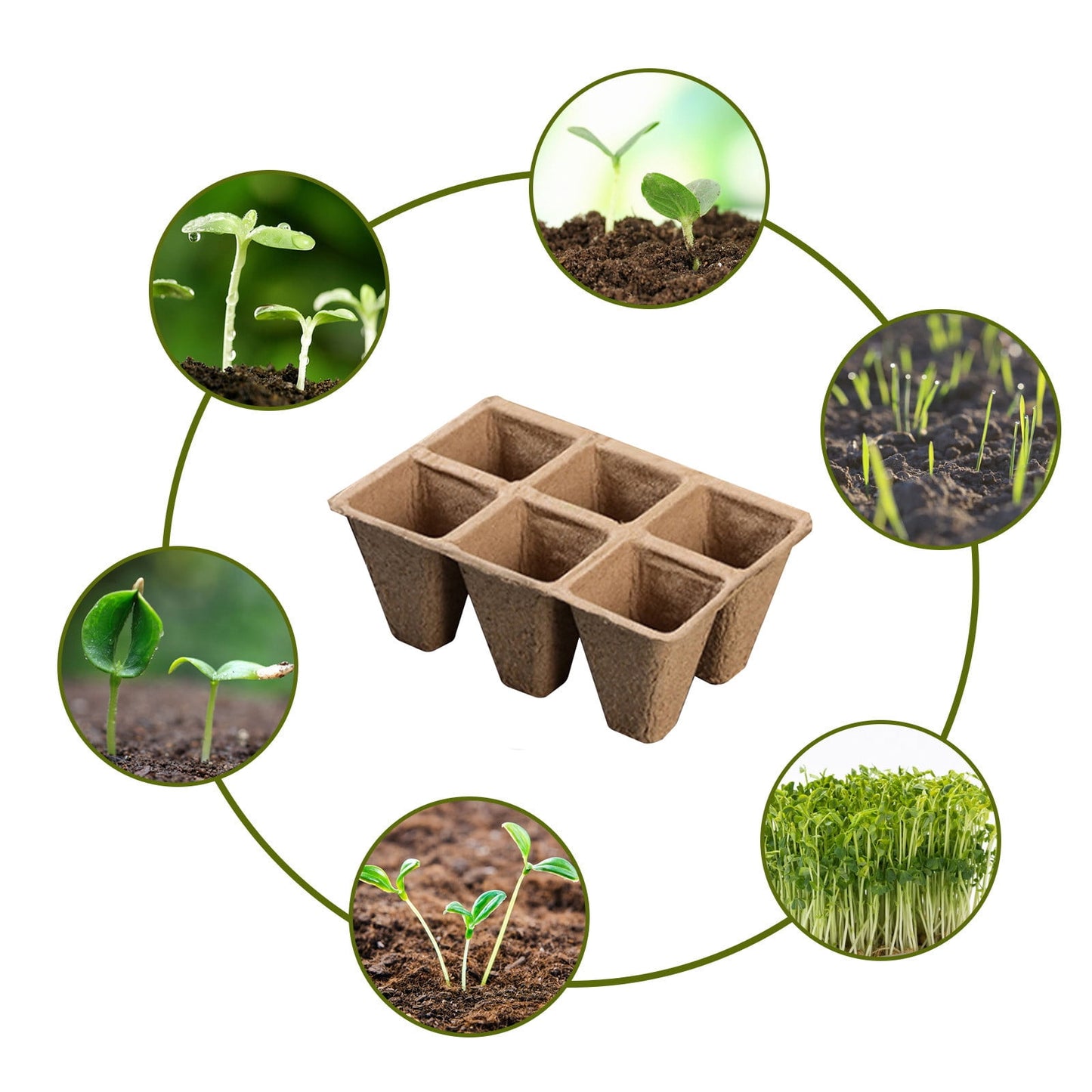 Darzheoy 30 Cells Peat Pots Seed Starter Trays 5 Packs Biodegradable Seedling Pots Germination Trays Organic Plant Starter Kit B