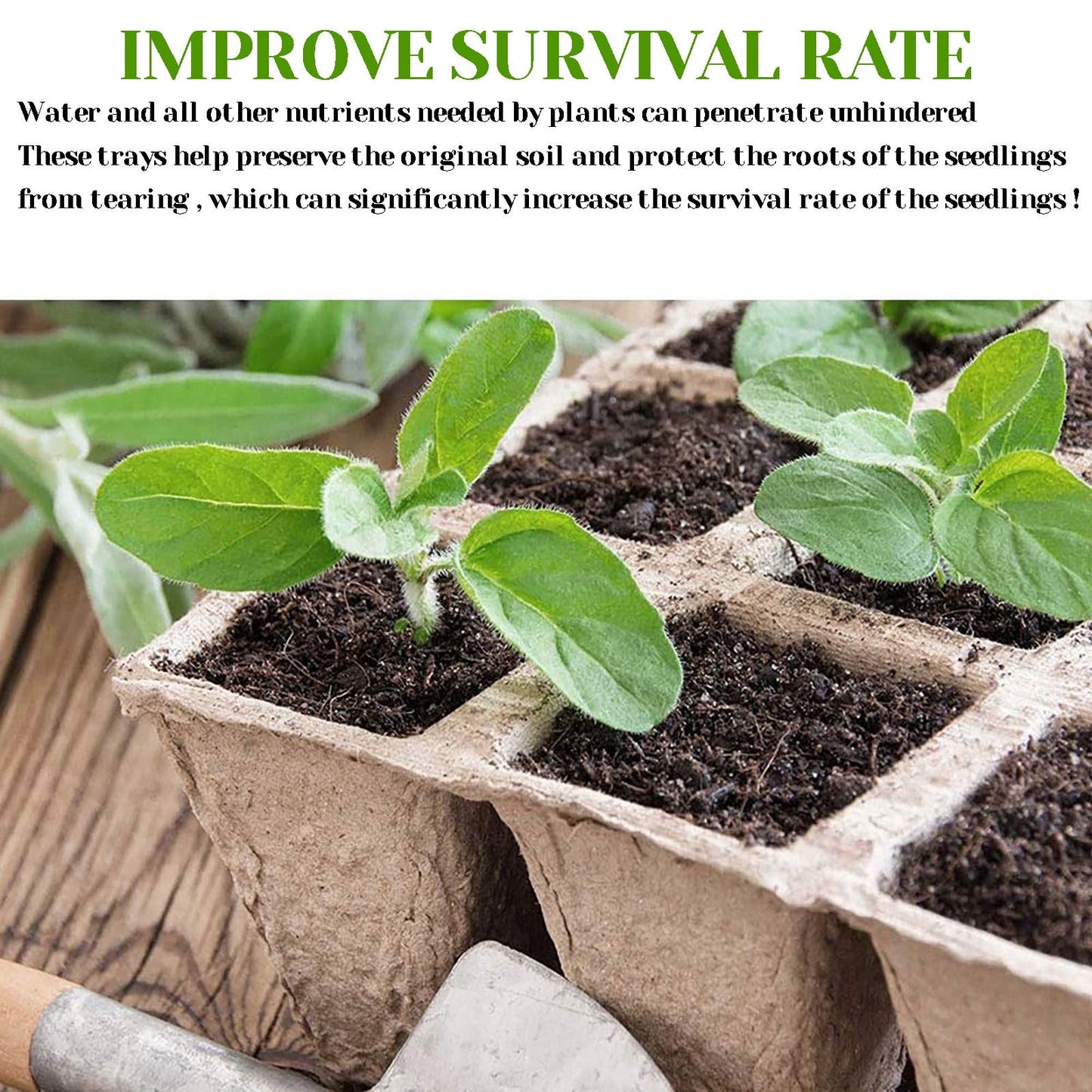 Darzheoy 30 Cells Peat Pots Seed Starter Trays 5 Packs Biodegradable Seedling Pots Germination Trays Organic Plant Starter Kit C