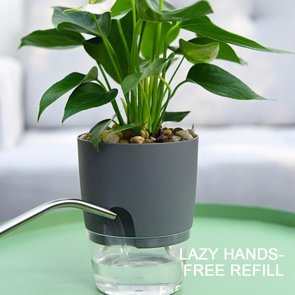 Darzheoy Self Watering Planter, 4 Inch Self Watering Pots for Indoor Plants, Self Watering Planters with Wick Rope for All House Herbs, Plants, Violets and Dahlias White