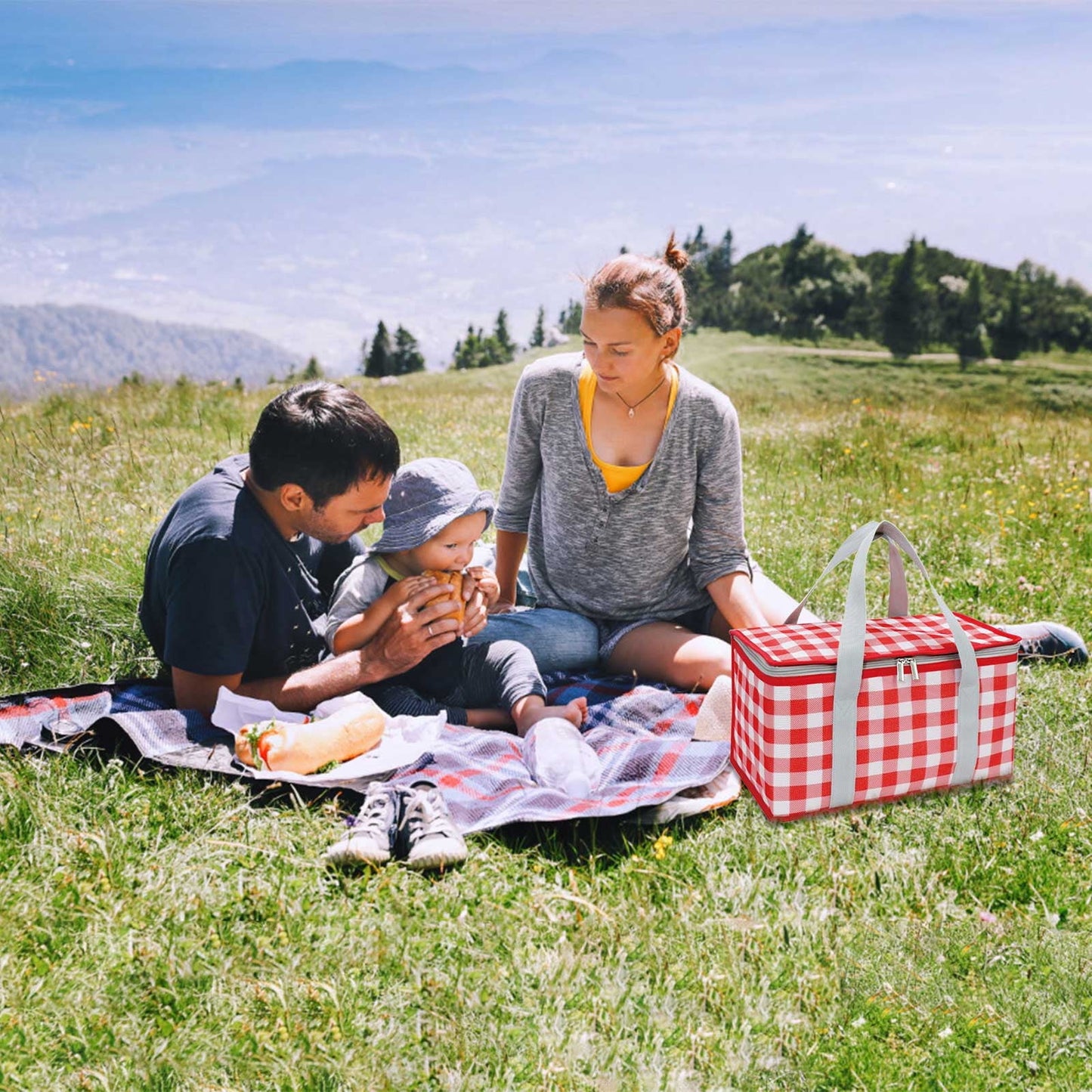 Darzheoy Large Picnic Basket Shopping Basket Camping Picnic Basket Travel Picnic Bag Portable Bento Bag Thermal Insulation Bag Red