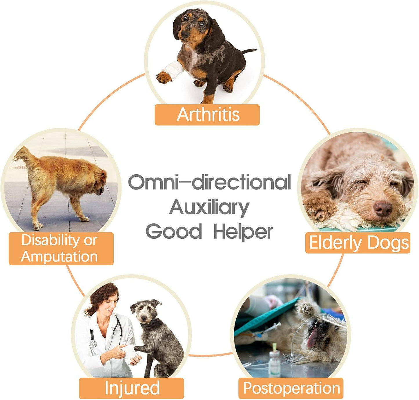 Dog Lift Harness - Adjustable Support for Medium Large Dogs, Comfortable Design with Padded Back Legs for Elderly, Injured, Arthritic, Senior, Disabled Dogs（M）