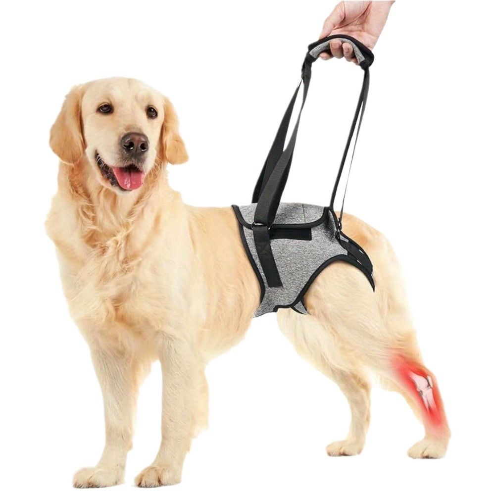 Dog Lift Harness - Adjustable Support for Medium Large Dogs, Comfortable Design with Padded Back Legs for Elderly, Injured, Arthritic, Senior, Disabled Dogs（M）