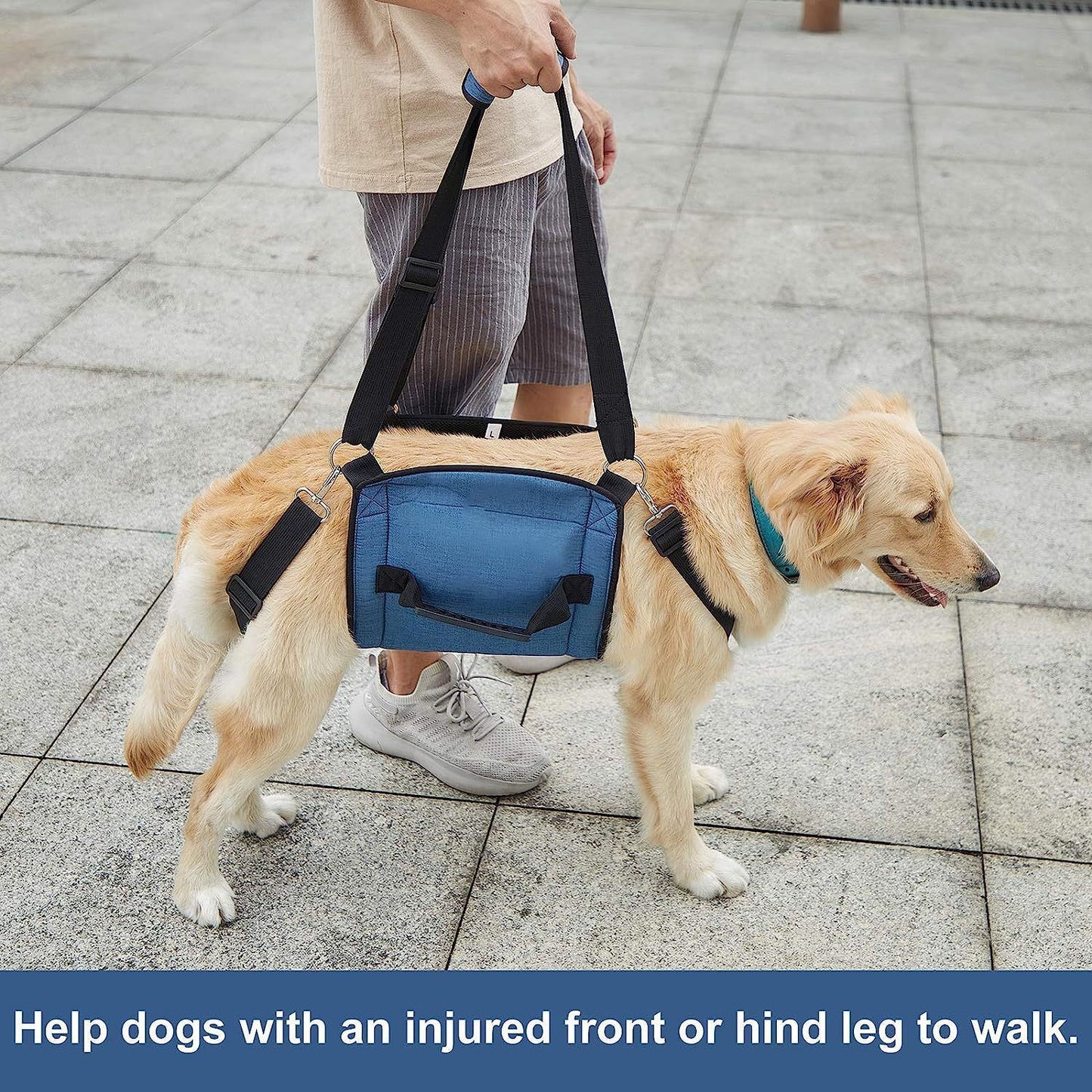 Dog Carry Sling, Emergency Backpack Pet Legs Support & Rehabilitation Dog Lift Harness for Nail Trimming, Dog Carrier for Senior Dogs Joint Injuries, Arthritis, Up and Down Stairs(L, Blue)