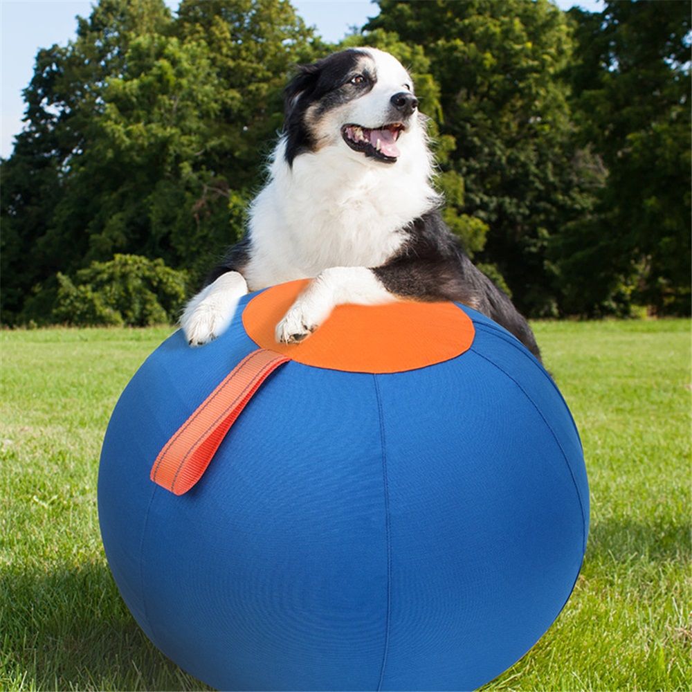Herding Ball for Dogs, 18" Large Ball Interactive Dog Toys for Medium & Large Dogs, Complete Set Dog Ball with Hand Pump, Horse Ball for Playing, Pet Ball Toy with Handle for Gifts