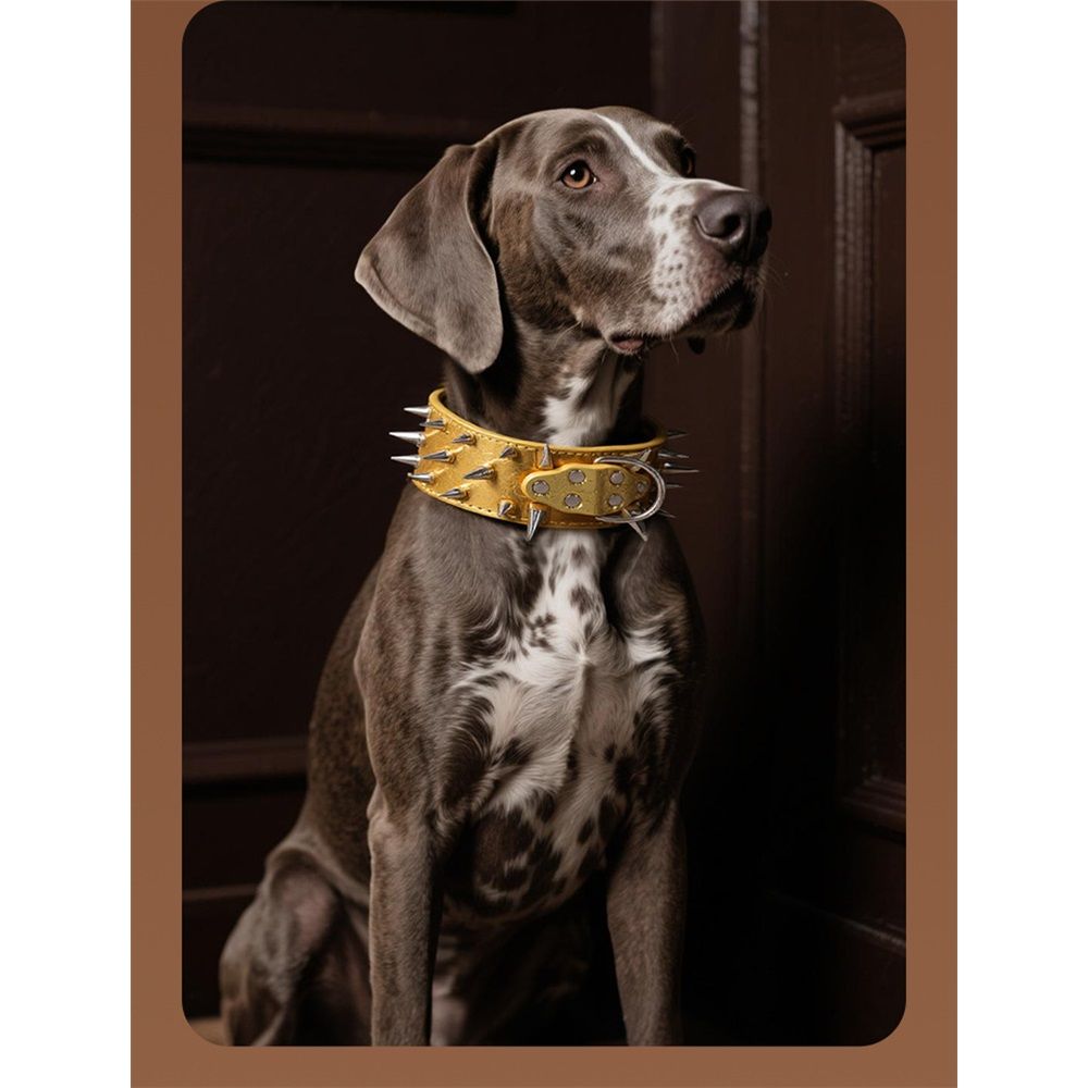 Spiked Leather Dog Collar Bullet Rivets Studded 2 Inch Width Stylish Leather Dog Collars for Medium & Large Dogs Pitbull(Gold ,XL)