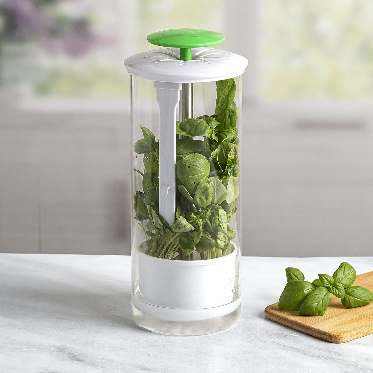 Herb Keeper and Herb Saver – Glass Storage Container for Cilantro, Mint, Parsley, Asparagus, Keeps Greens Fresh for 2-3 Weeks（green）