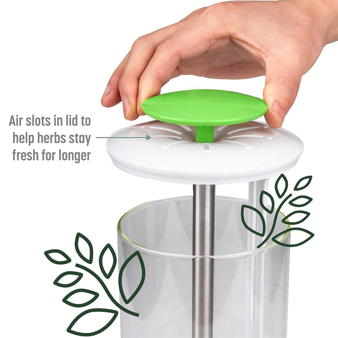 Herb Keeper and Herb Saver – Glass Storage Container for Cilantro, Mint, Parsley, Asparagus, Keeps Greens Fresh for 2-3 Weeks（green）