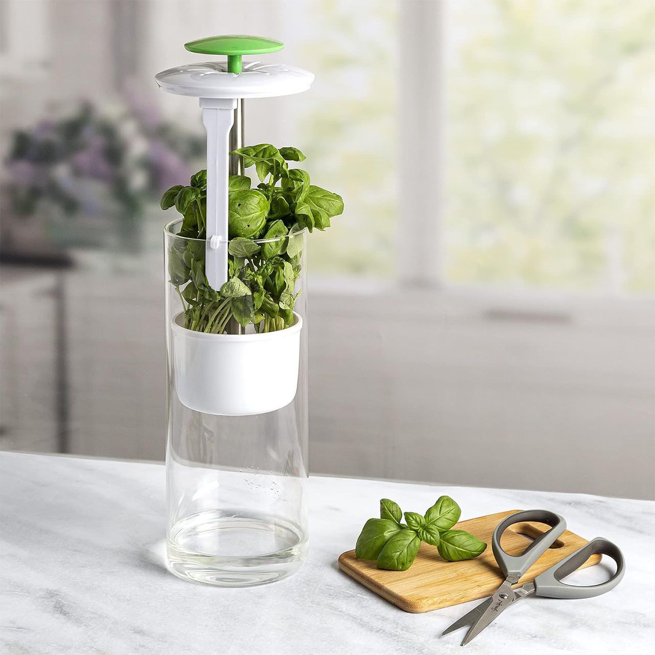 Herb Keeper and Herb Saver – Glass Storage Container for Cilantro, Mint, Parsley, Asparagus, Keeps Greens Fresh for 2-3 Weeks（green）