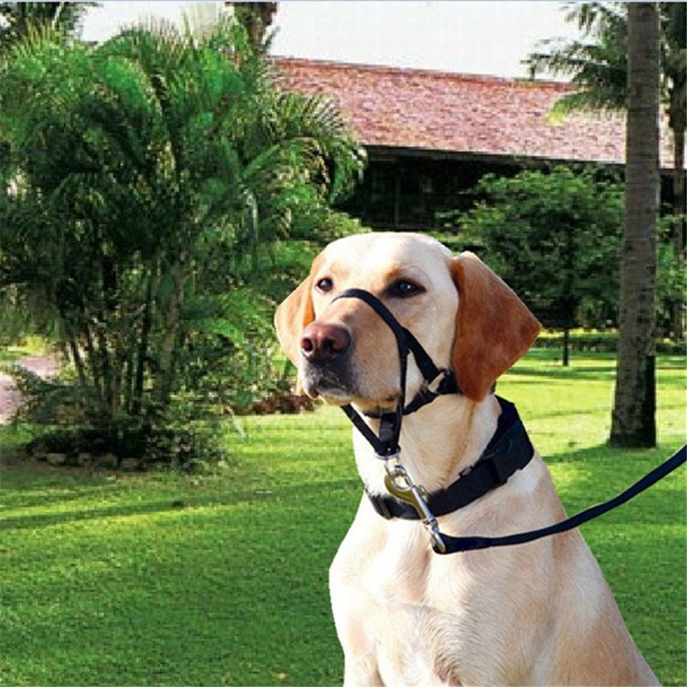 No-Pull Dog Headcollar for Large Dogs (Agressive/Reactive Dogs; Instant Stop Pulling; Gentle Training Collar for Dogs; Comfortable, Safe, and Effective Walking/Training Solution (Black, S)
