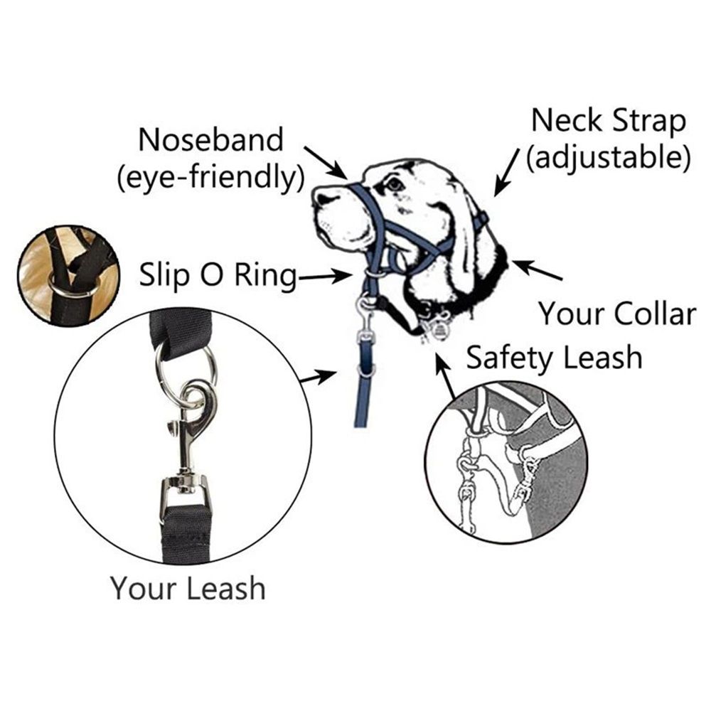 No-Pull Dog Headcollar for Large Dogs (Agressive/Reactive Dogs; Instant Stop Pulling; Gentle Training Collar for Dogs; Comfortable, Safe, and Effective Walking/Training Solution (Black, S)