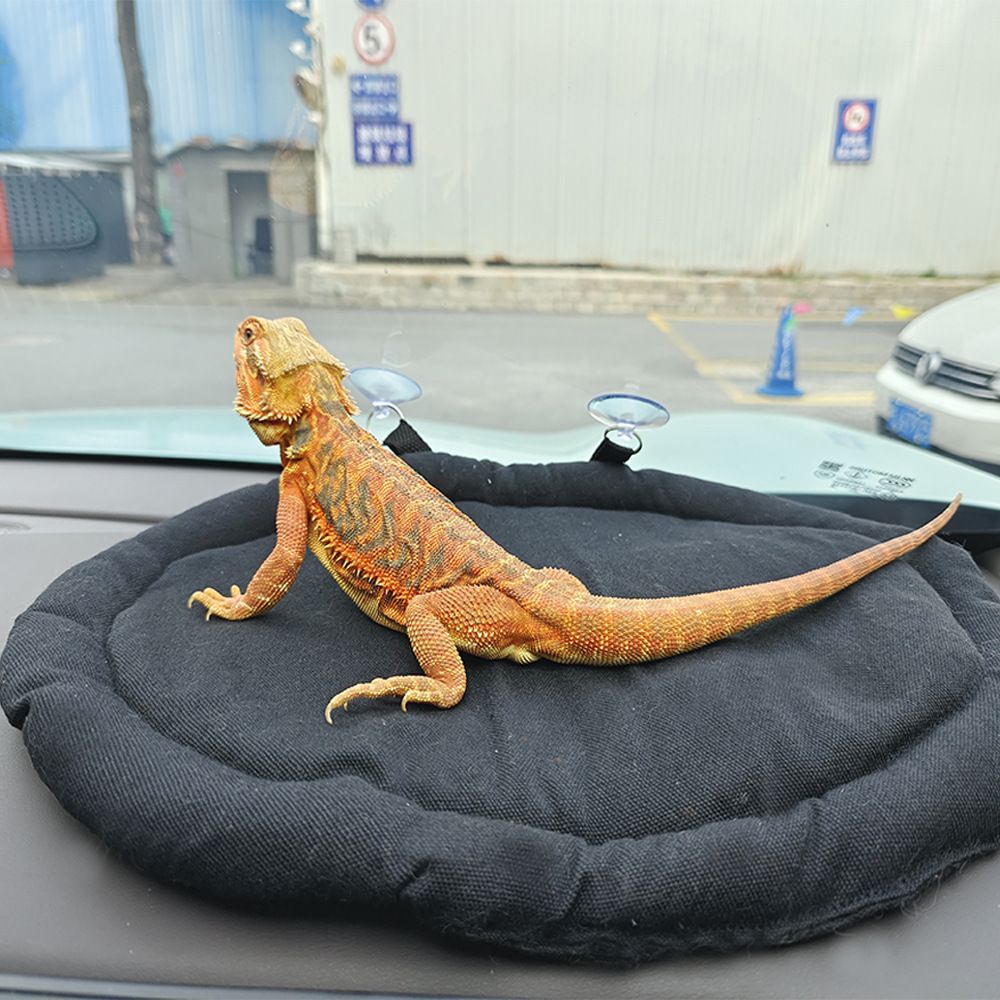 Bearded Dragon Bed Soft Mat with Suction Cup Bearded Dragon Sleep Cushion Washable for Travel Reptile Tank Accessories Small Animal Carrier for Lizard Leopard Gecko (Black)
