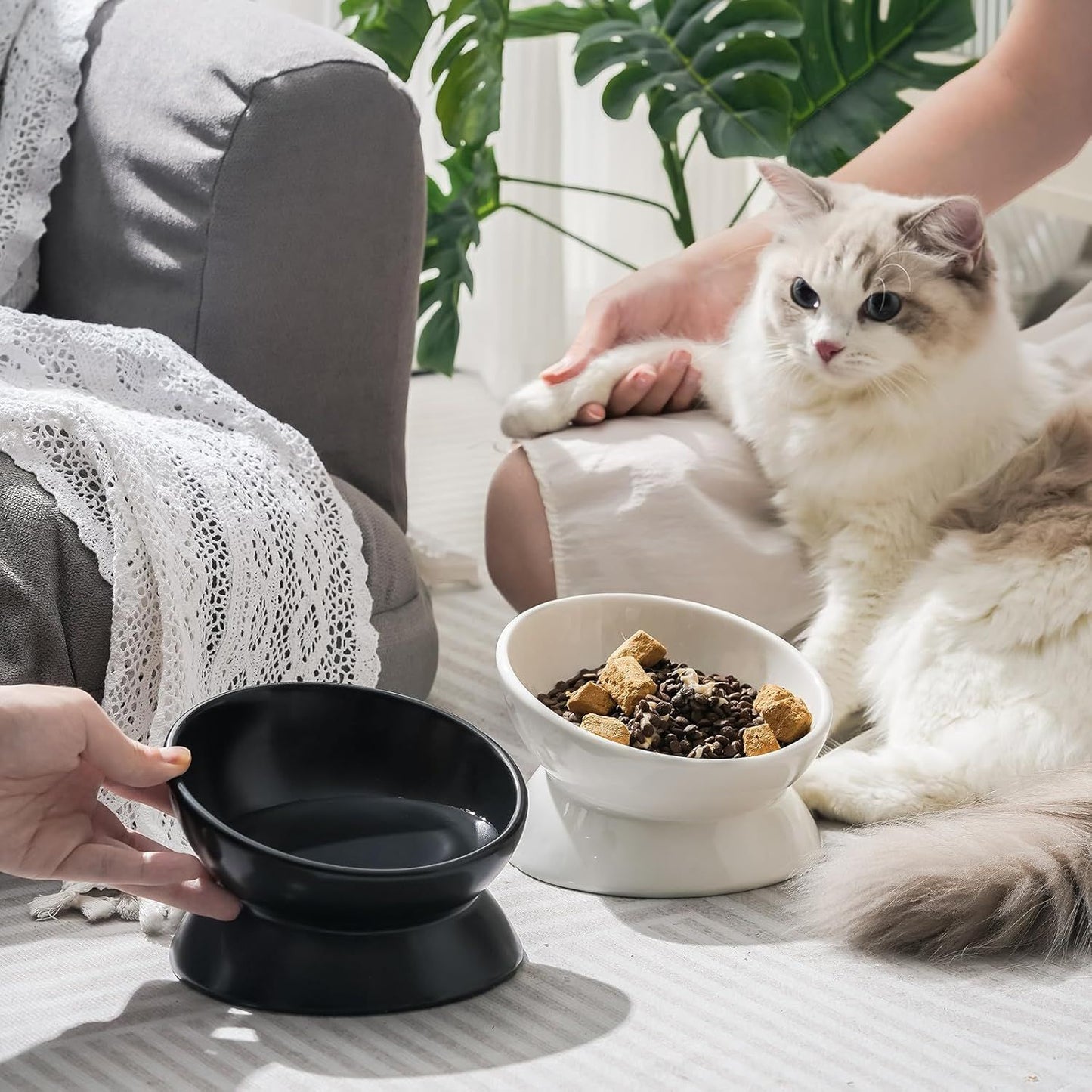Elevated Cat Food Bowl, 5 Oz Ceramic Raised and Tilted Water Bowl, Anti Vomiting and Protect Pets' Spines Dishes for Small Dog, Fat Faced Cat, Kitten ( 2 Pack)