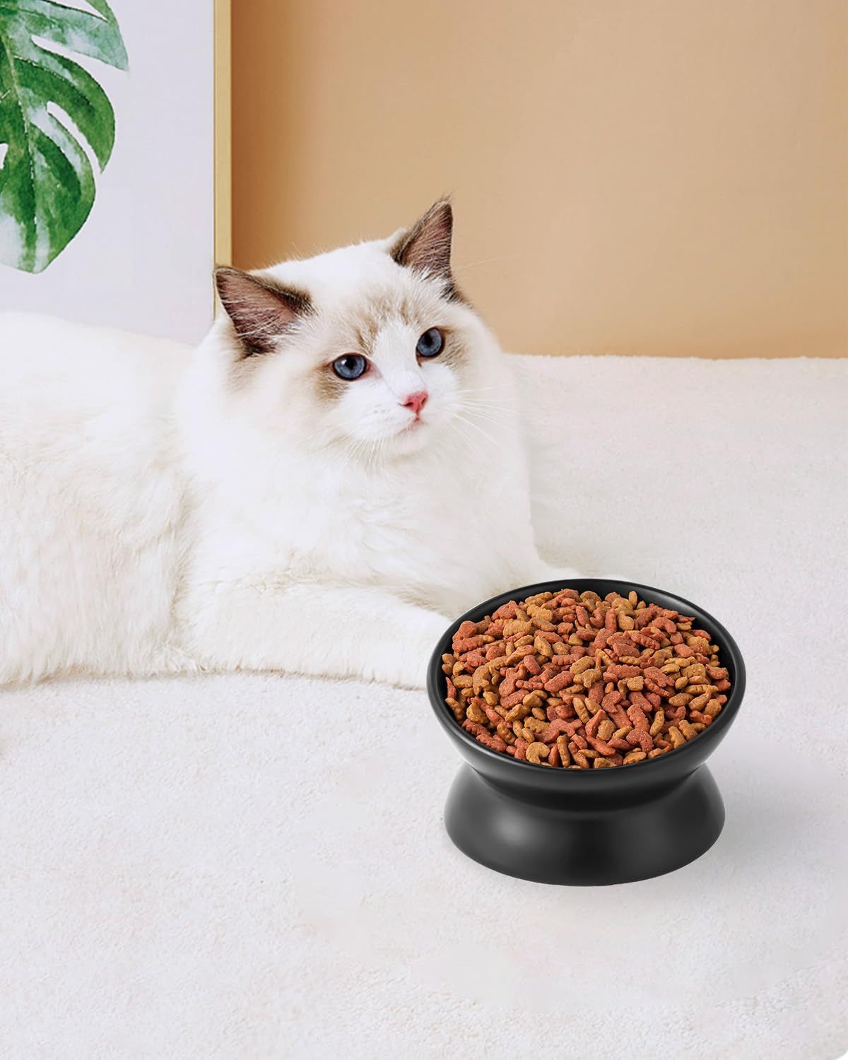 Elevated Cat Food Bowl, 5 Oz Ceramic Raised and Tilted Water Bowl, Anti Vomiting and Protect Pets' Spines Dishes for Small Dog, Fat Faced Cat, Kitten ( 2 Pack)