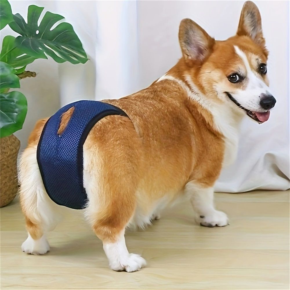 3Pcs  Dog Pants, Reusable Breathable Mesh Female Dog Diapers, Sanitary Pads, Adjustable Sanitary Briefs, Protective Trousers, Underwear for Female Dog in Heat（S navy blue）
