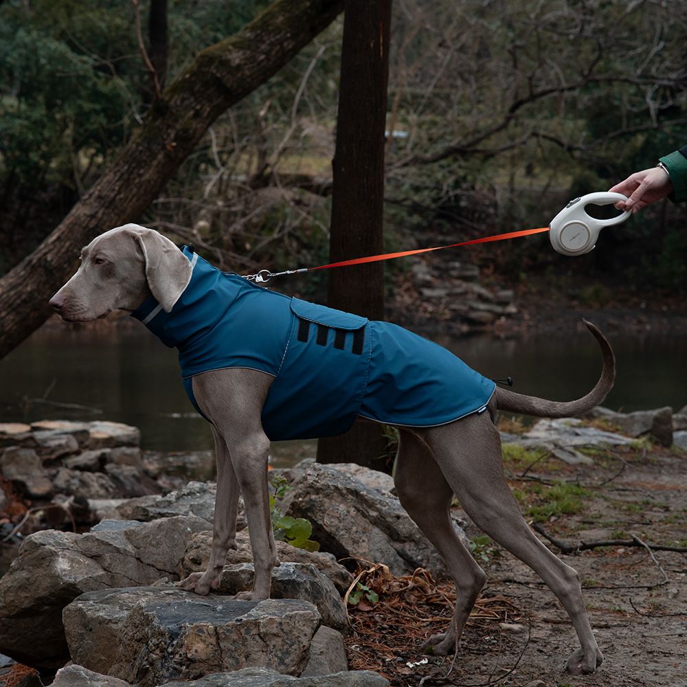 Dog spring jacket, waterproof and dustproof high neck pet dog raincoat, windproof extended cover, deep blue S