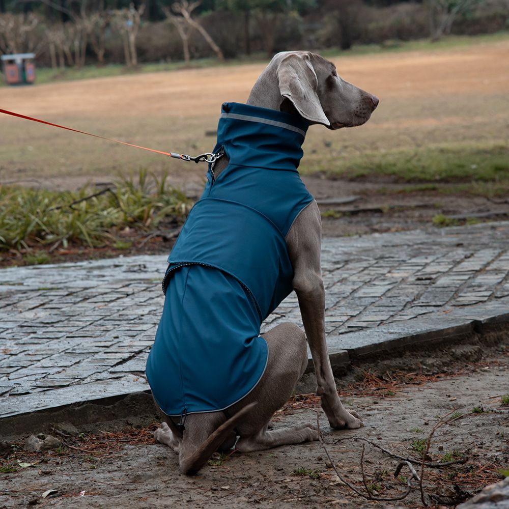 Dog spring jacket, waterproof and dustproof high neck pet dog raincoat, windproof extended cover, deep blue S