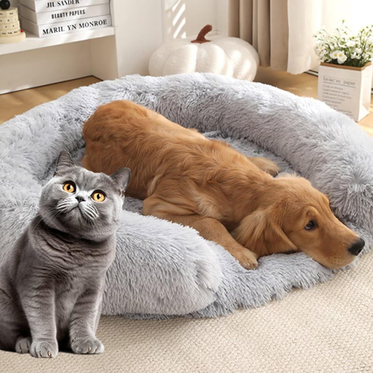 Bedsure Calming Dog Bed for Small Dogs - Donut Washable Small Pet Bed, Anti-Slip Round Fluffy Plush Faux Fur Large Cat Bed, Pale Grey