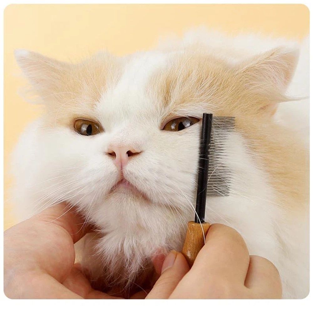 Upgraded Black pet face comb, cat and dog comb, bear dense teeth, needle comb, mouth brush, flea comb supplies