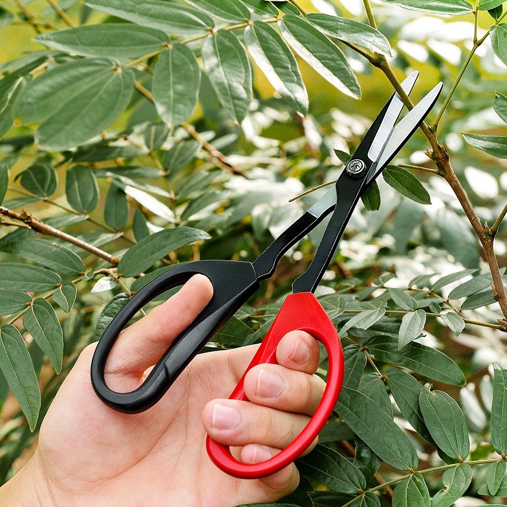 Bonsai Cutter Pruning Shear tool used for Gardening, Arranging Flowers, Trimming Plants, Branches, Stainless Steel Red White Handles