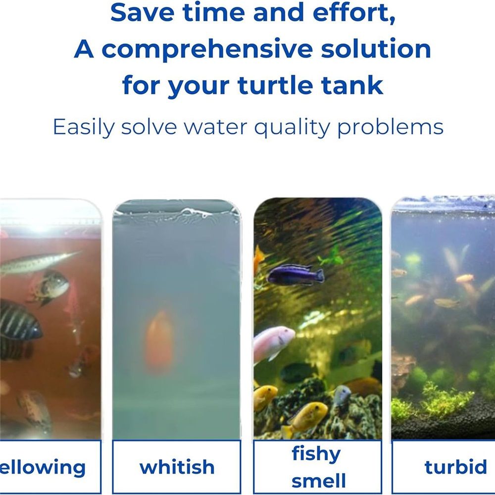 2 set Turtle Feeding Ring with Suction Cup and Nitrifying Balls Fish Food Holder Aquatic Toys for Turtles Tortoise Goldfish Guppy Koi Puffer Turtle Tank Accessories (Square & Circle)