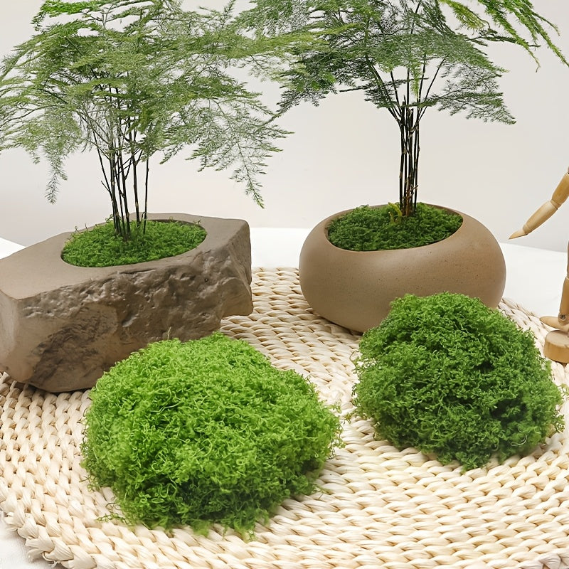 diy artificial moss lawn-Light Green Filamentous Moss 200g