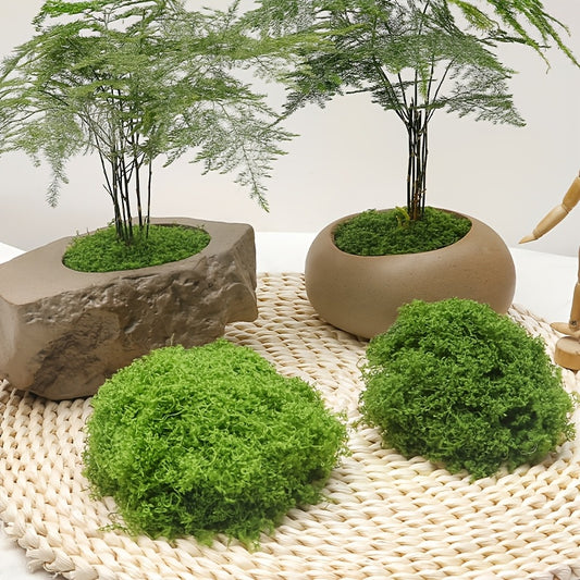 diy artificial moss lawn-Light Green Filamentous Moss 200g