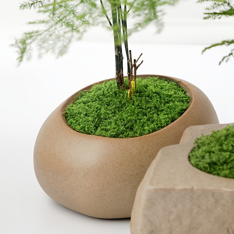 diy artificial moss lawn-Light Green Filamentous Moss 20g