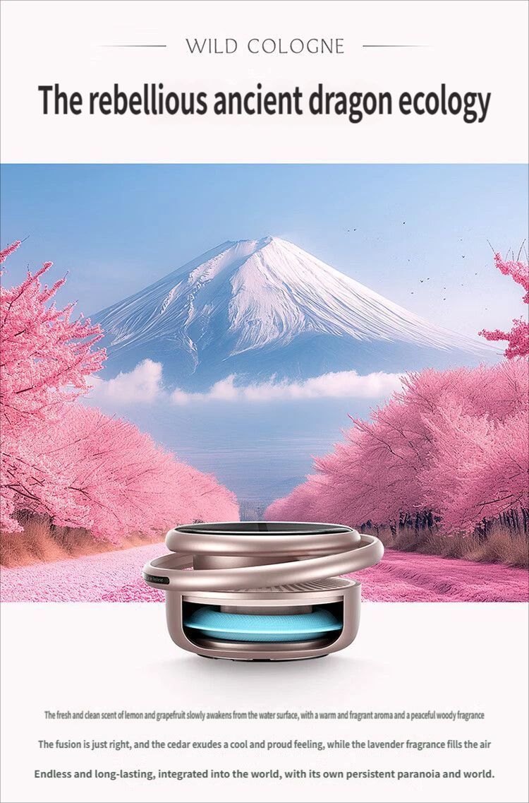 Car Aromatherapy-Black