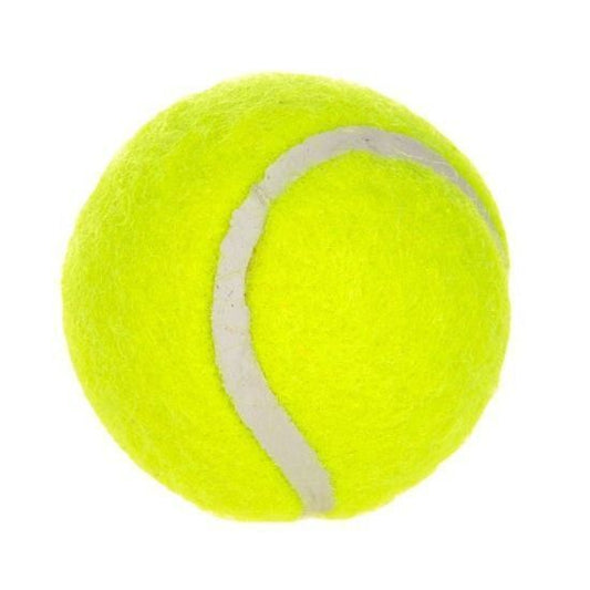 Fluorescent Yellow Dog Tennis Balls 6-Pack - 2 Inch