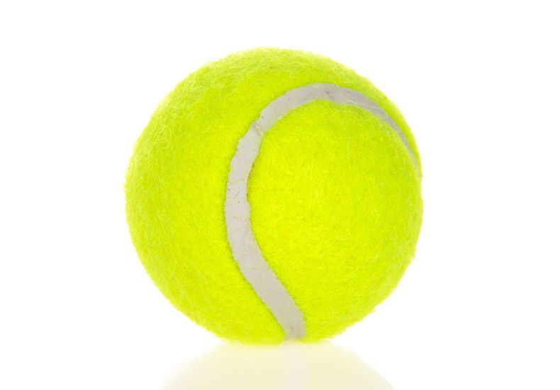 Fluorescent Yellow Dog Tennis Balls 6-Pack - 2 Inch