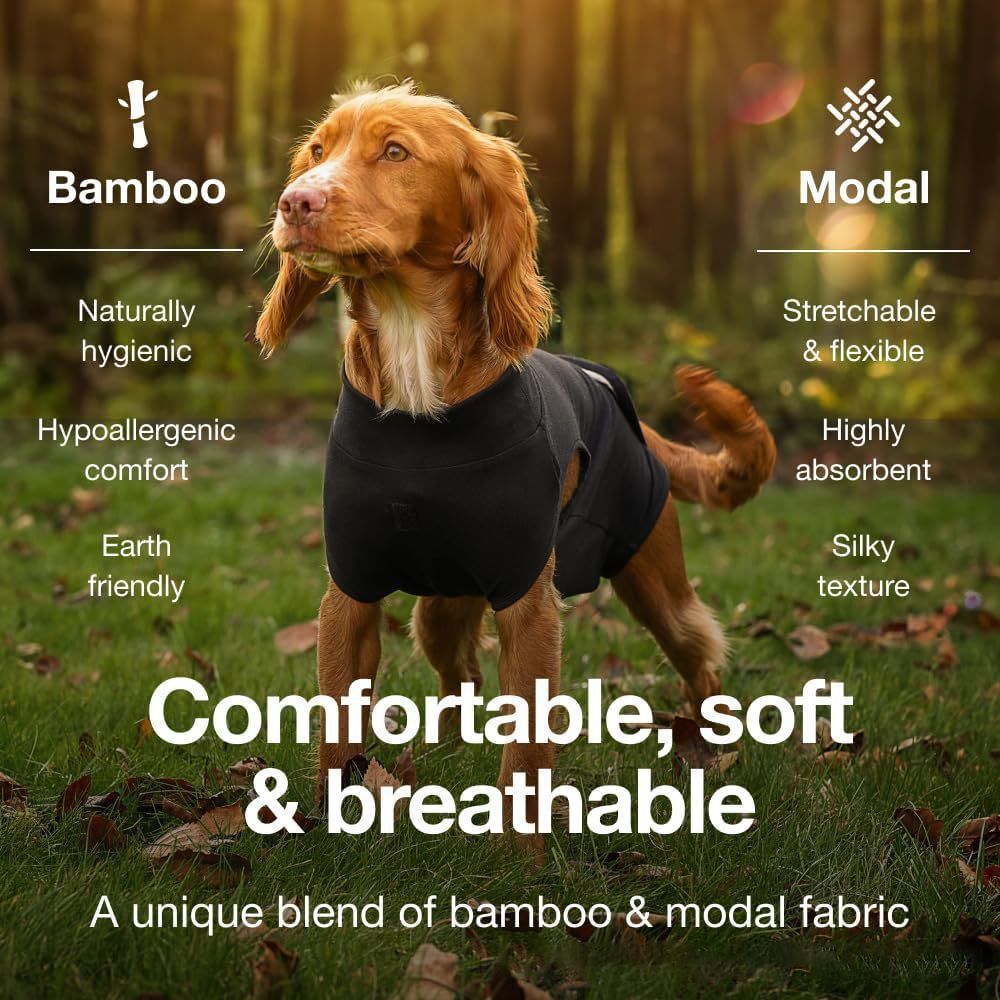 Pet physiological pants-L