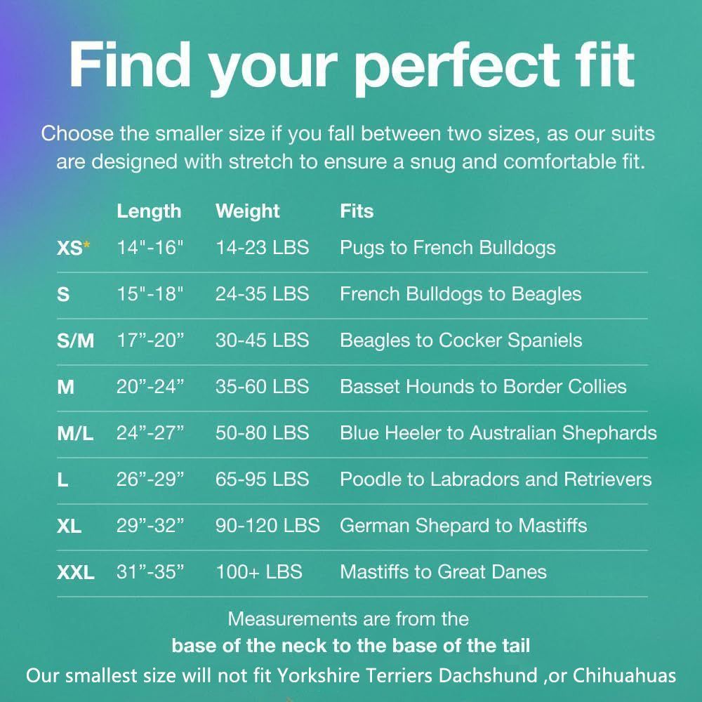 Pet physiological pants-XL