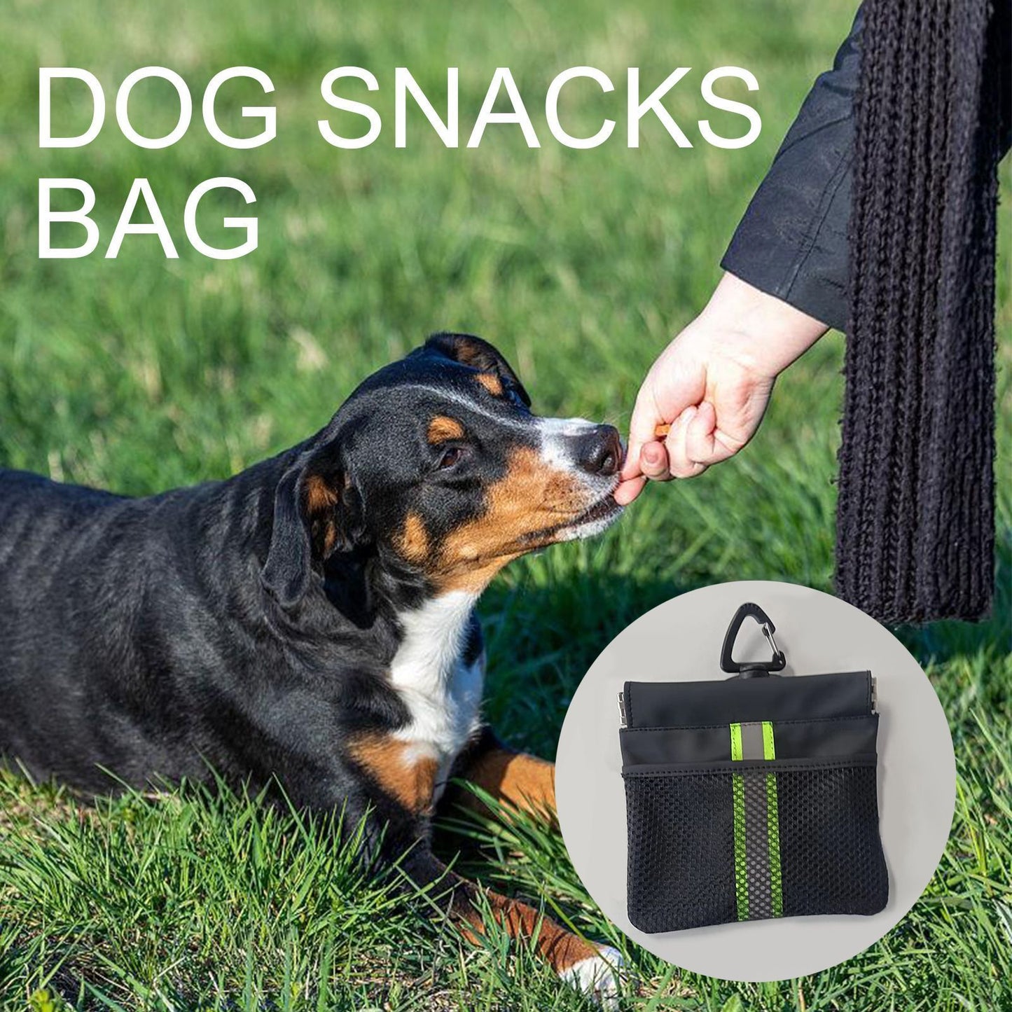 Pet snack bag-A