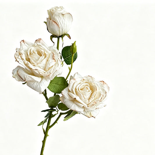 Vintage Burnt Edge Artificial Rose, Pure White Soft Decor, 3 Pack