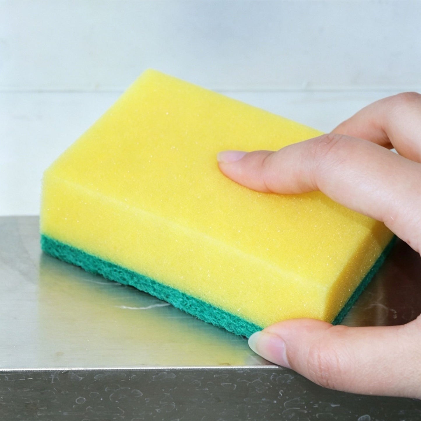 10pk Square Dual Sided Dish Sponge