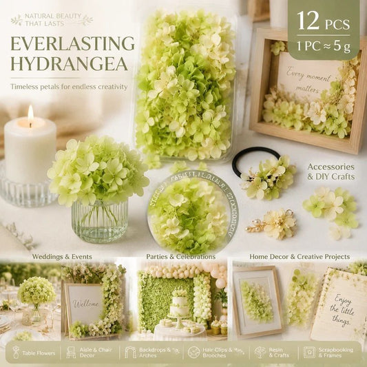 Pale Green Champagne Preserved Hydrangea Resin Making Bulk Supply Pack 12