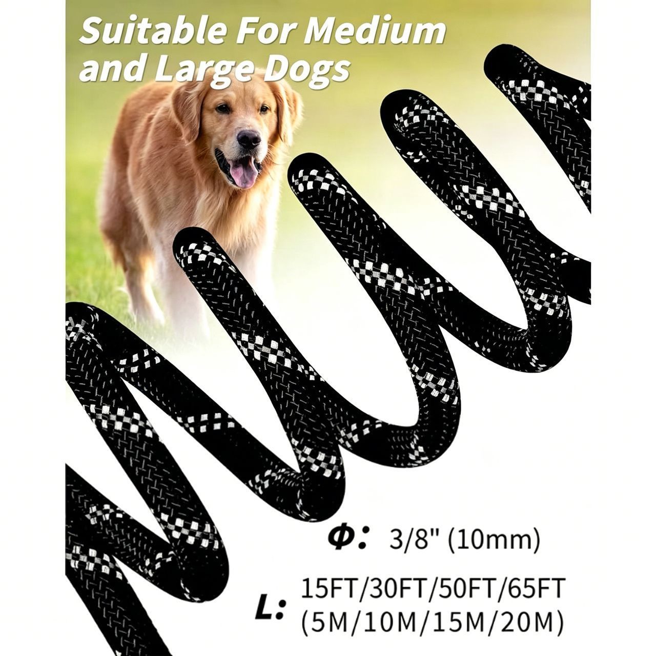 Large Dog Leash Black