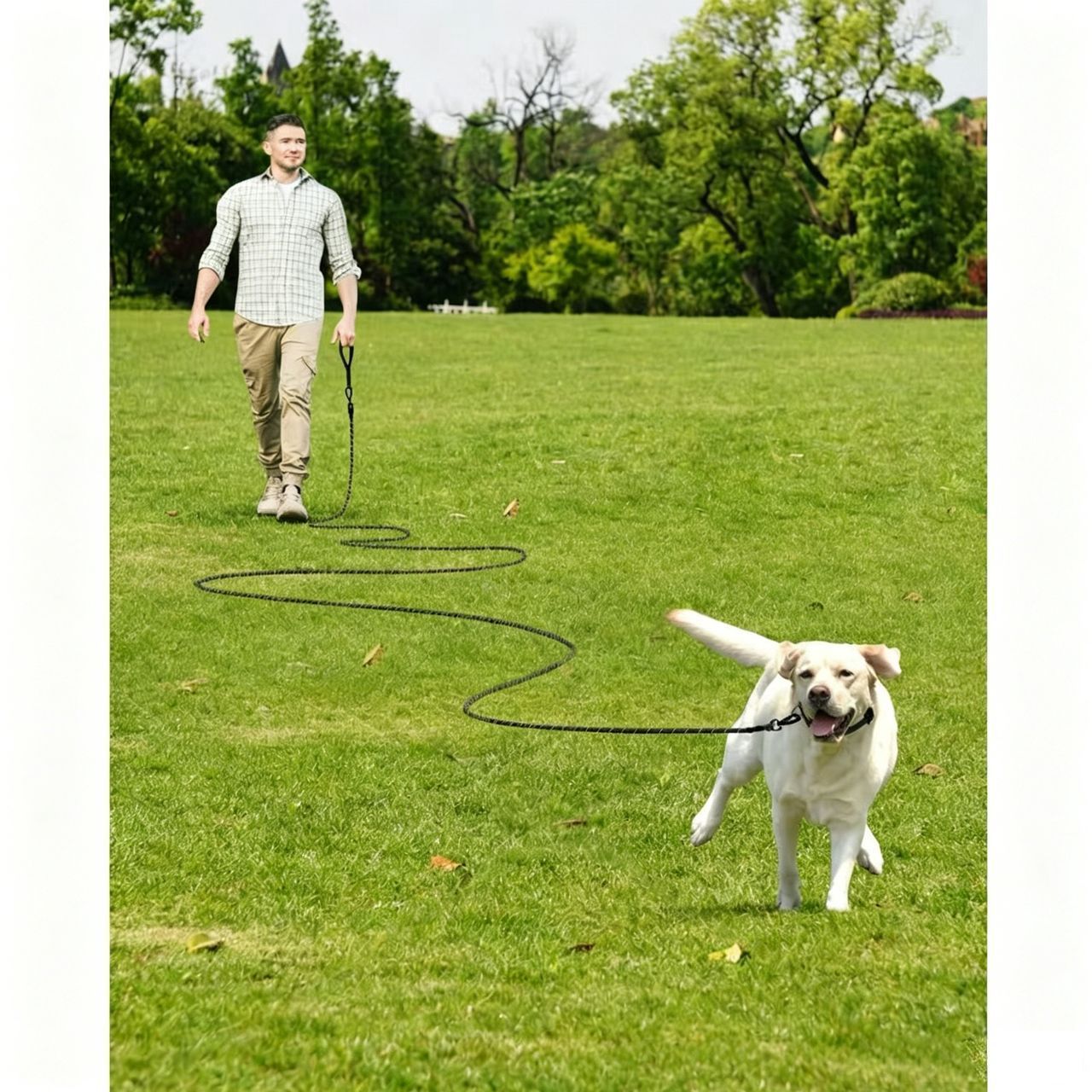 Large Dog Leash Sky Blue 02