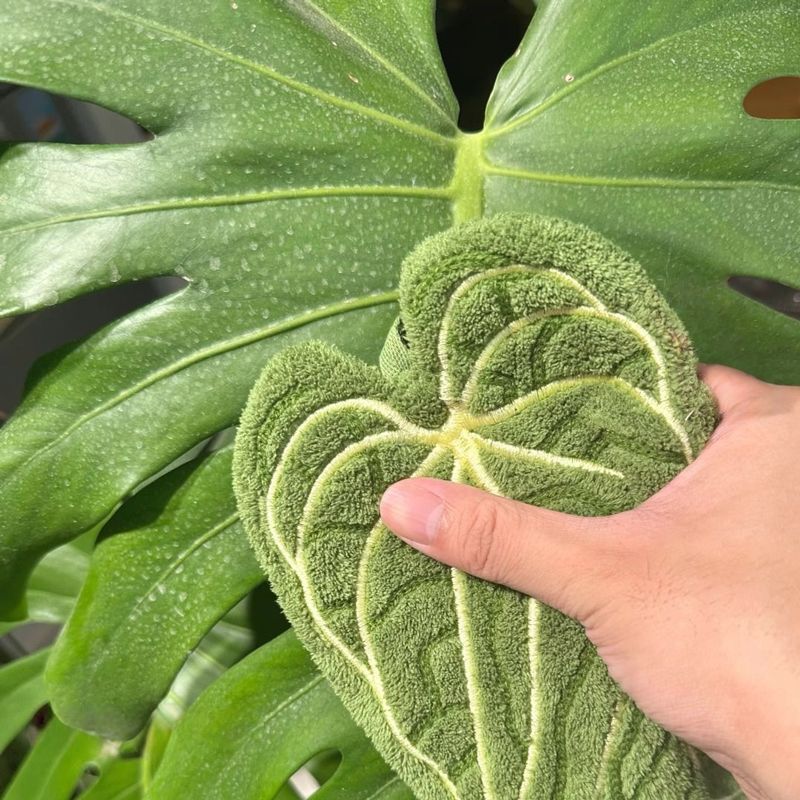 2 Pack Leaf Pattern Hand Towels
