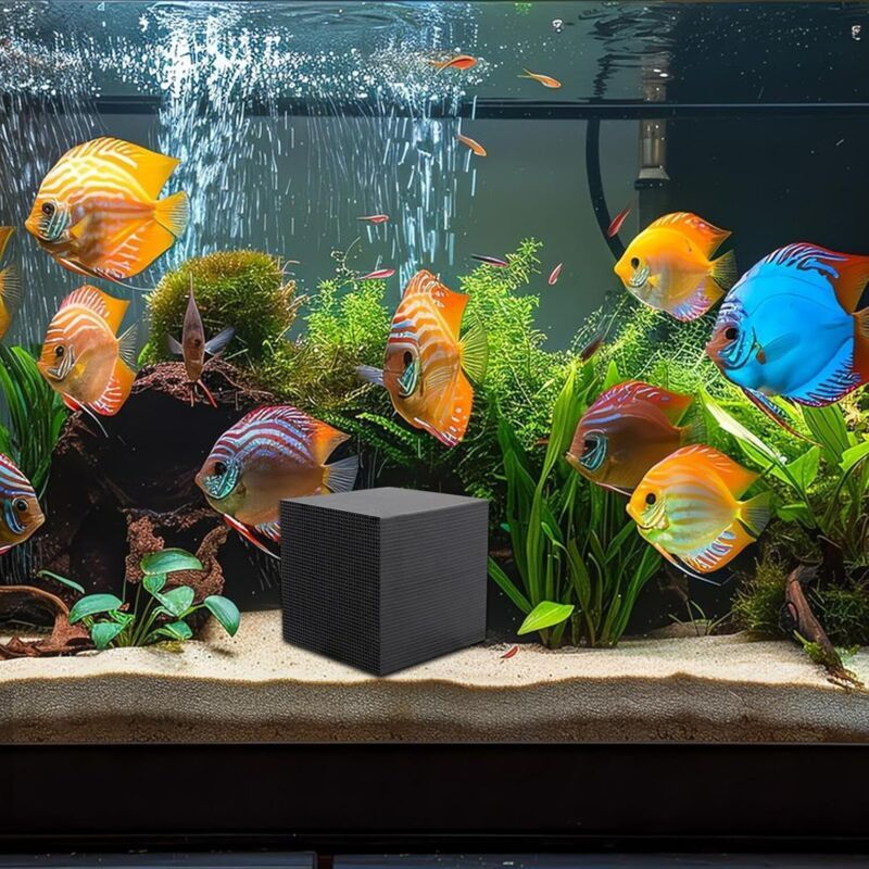 Cubes Purificateurs of Water for Abreuvoir a Chevaux
