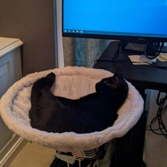 Cat Desk Hammock Bed With Soft Faux Fur And Steel Frame Clamp Mount For Indoor Small To Medium Cats, White Diameter, 40 cm