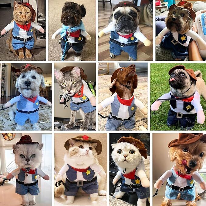 Small Dog Cowboy Costume With Hat Size Western Pet Outfit (2Pcs)