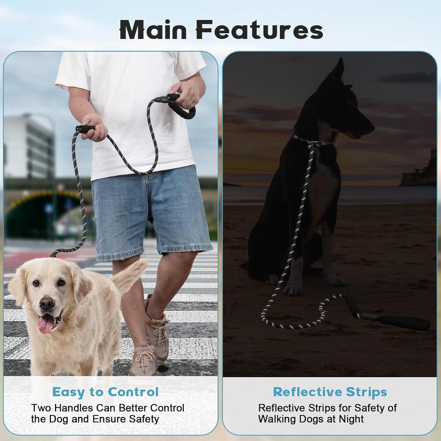 Dog Leash 6 FT with Comfortable Padded Handle, Training Loop Leash with Highly Reflective Threading for Medium Dogs, Black