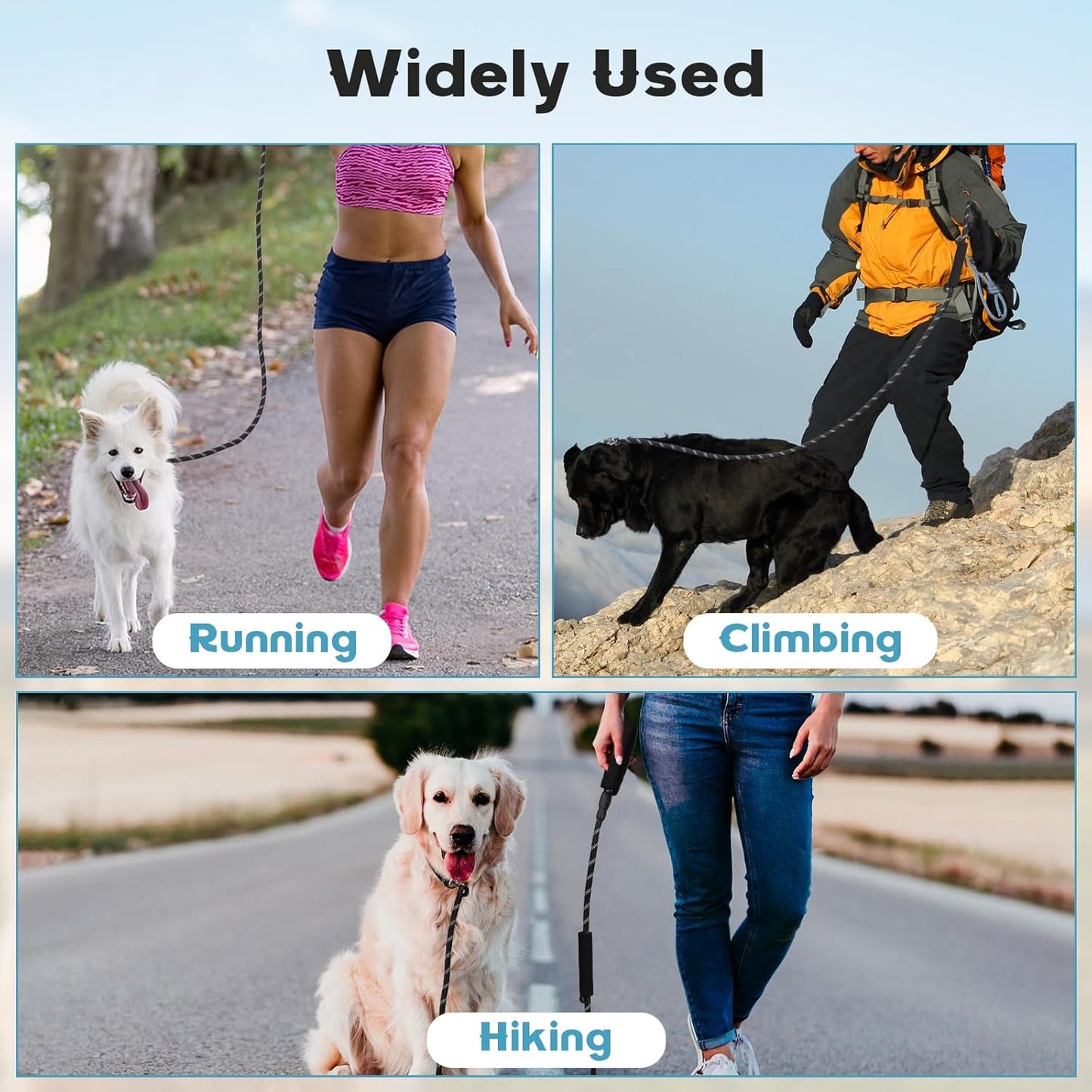 Dog Leash 6 FT with Comfortable Padded Handle, Training Loop Leash with Highly Reflective Threading for Medium Dogs, Black