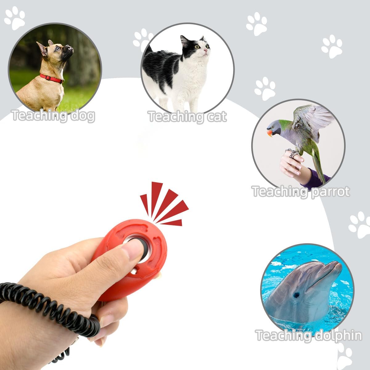 Petluno 4 Pieces Pet Training Clicker with Wrist Strap and Dog Treat Pouch for Puppy Cats Birds Kit Behavioral (White, Red, Orange, Blue)