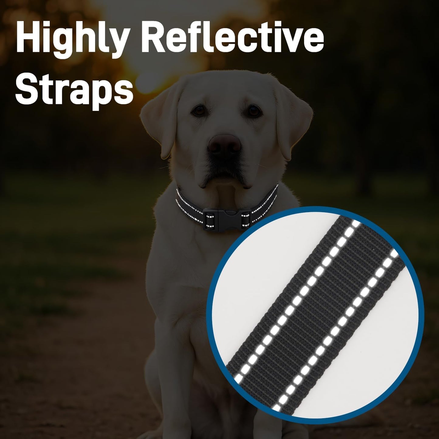 Dog Collar for Small Medium Dogs with Buckle, Breathable Adjustable Nyl Reflective Dog Collars, Black/Small