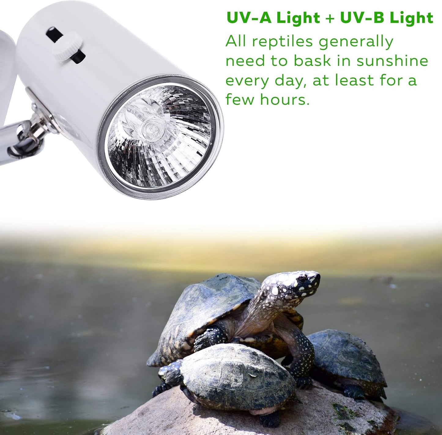 4-Pack 75W UVA+UVB Bulbs | Heat and Light for Reptiles and Amphibian Tanks, Terrariums and Cages | Works with Various Lamp Fixtures